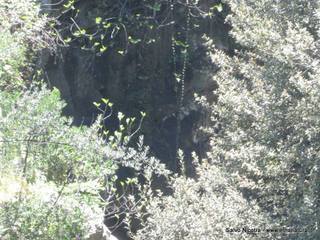 le della Cantera-26-04-2014 16-51-34
